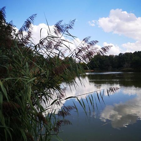 Gite La Maison De L Etang Foucherans  Exterior foto