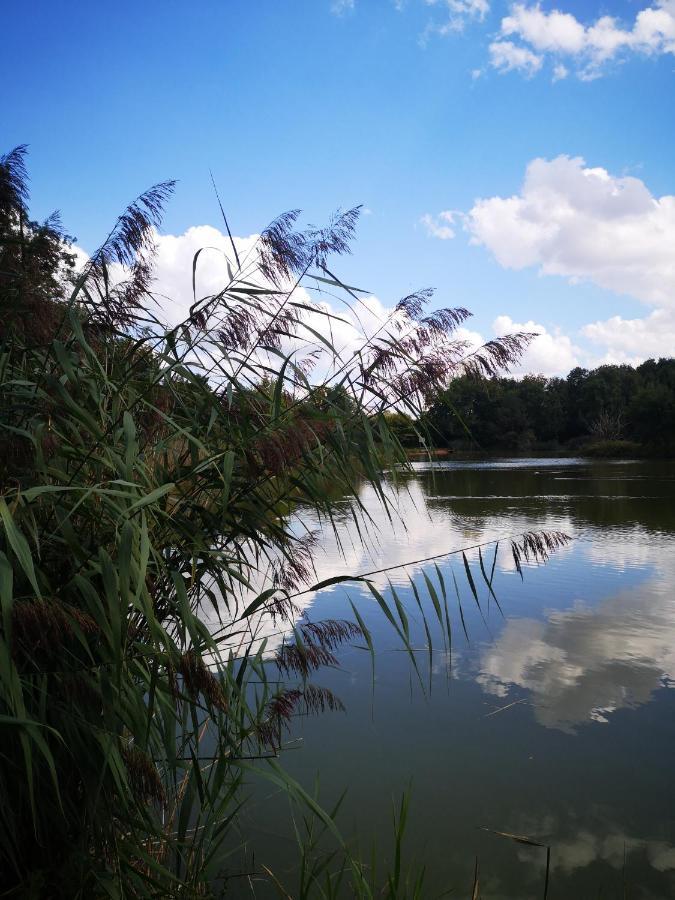 Gite La Maison De L Etang Foucherans  Exterior foto